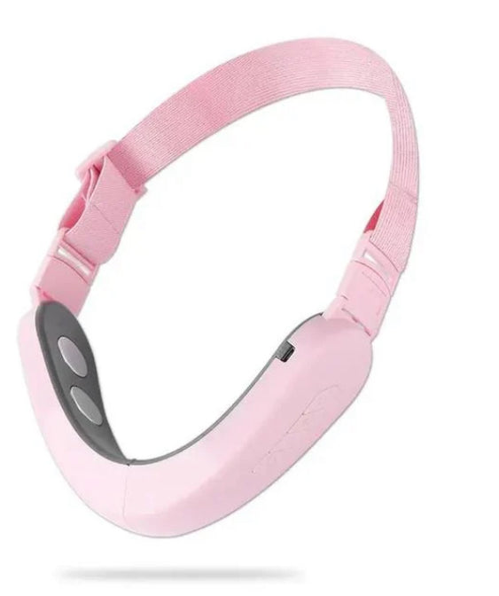 Teckwe V-Shape Facial Massager